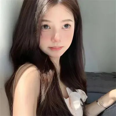 森林进化论